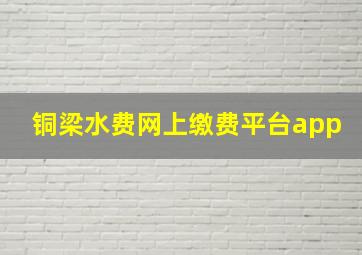 铜梁水费网上缴费平台app