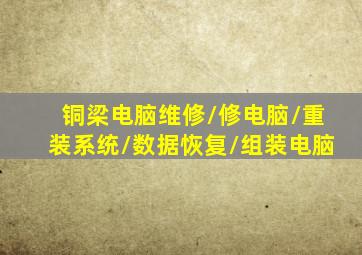 铜梁电脑维修/修电脑/重装系统/数据恢复/组装电脑