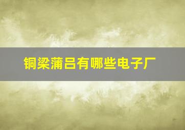 铜梁蒲吕有哪些电子厂