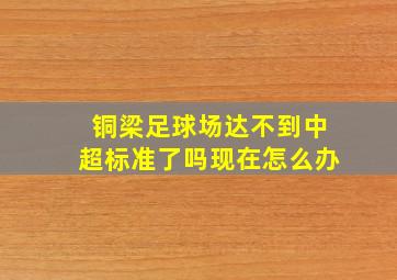 铜梁足球场达不到中超标准了吗现在怎么办