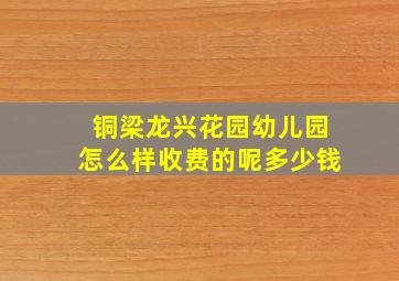 铜梁龙兴花园幼儿园怎么样收费的呢多少钱