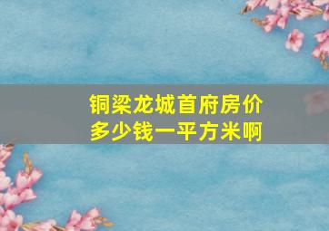 铜梁龙城首府房价多少钱一平方米啊