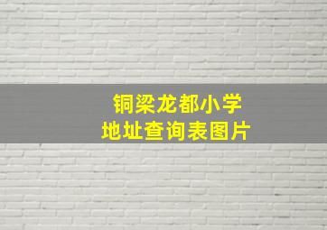 铜梁龙都小学地址查询表图片