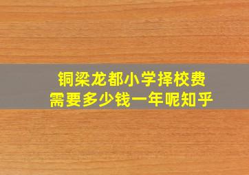 铜梁龙都小学择校费需要多少钱一年呢知乎