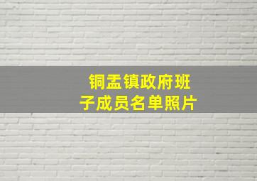 铜盂镇政府班子成员名单照片