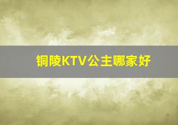 铜陵KTV公主哪家好