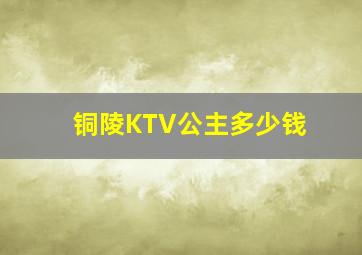 铜陵KTV公主多少钱