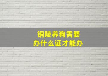 铜陵养狗需要办什么证才能办