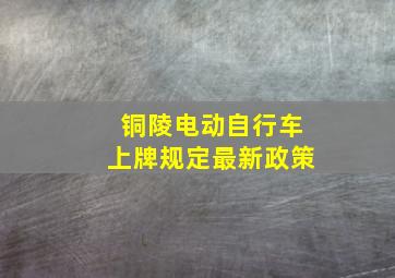 铜陵电动自行车上牌规定最新政策