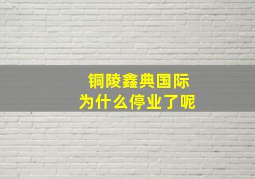 铜陵鑫典国际为什么停业了呢