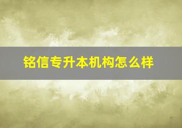 铭信专升本机构怎么样