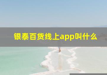 银泰百货线上app叫什么