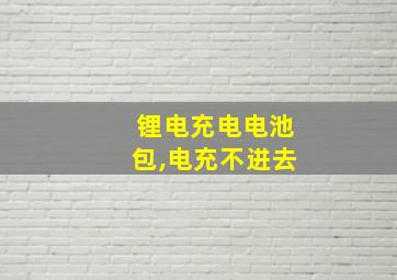 锂电充电电池包,电充不进去