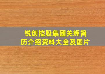 锐创控股集团关辉简历介绍资料大全及图片