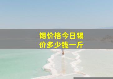 锡价格今日锡价多少钱一斤