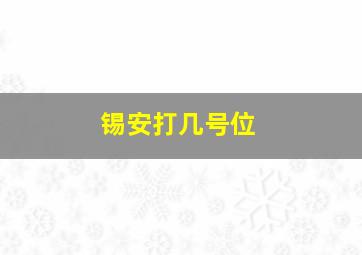 锡安打几号位