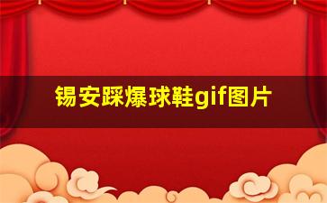 锡安踩爆球鞋gif图片