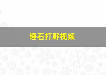 锤石打野视频