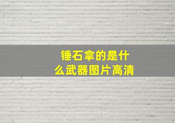 锤石拿的是什么武器图片高清