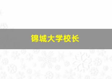 锦城大学校长