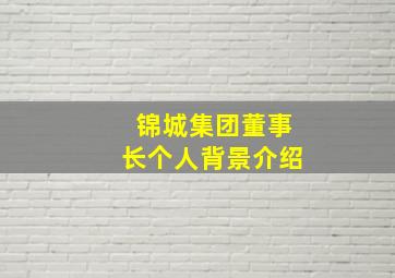 锦城集团董事长个人背景介绍