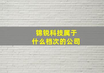 锦锐科技属于什么档次的公司