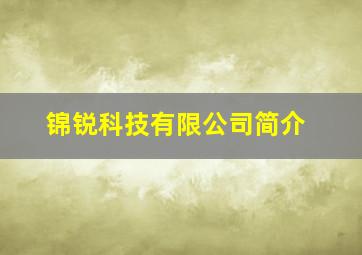 锦锐科技有限公司简介