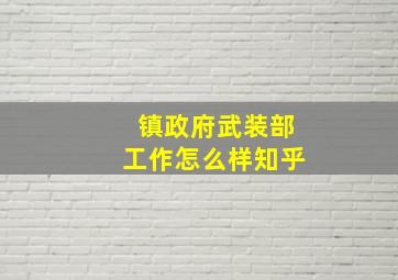 镇政府武装部工作怎么样知乎