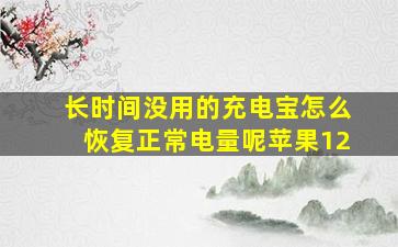 长时间没用的充电宝怎么恢复正常电量呢苹果12