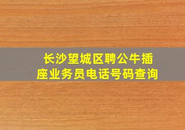 长沙望城区聘公牛插座业务员电话号码查询