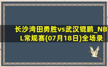 长沙湾田勇胜vs武汉锟鹏_NBL常规赛(07月18日)全场录像