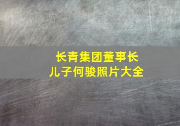 长青集团董事长儿子何骏照片大全