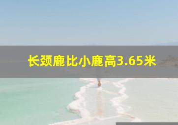 长颈鹿比小鹿高3.65米