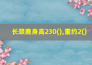 长颈鹿身高230(),重约2()