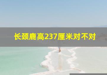 长颈鹿高237厘米对不对