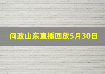 问政山东直播回放5月30日