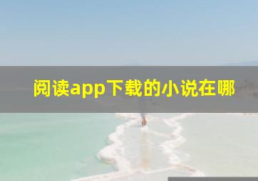 阅读app下载的小说在哪