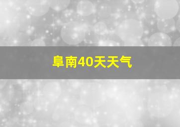 阜南40天天气