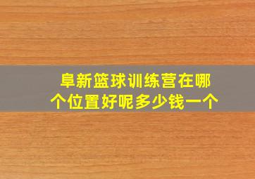 阜新篮球训练营在哪个位置好呢多少钱一个