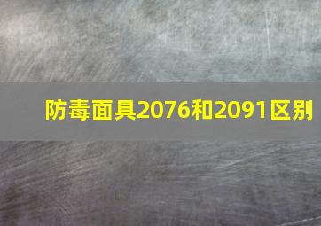 防毒面具2076和2091区别