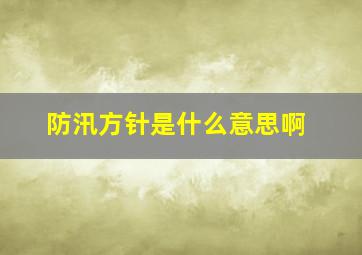 防汛方针是什么意思啊