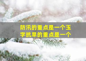 防汛的重点是一个玉字抗旱的重点是一个