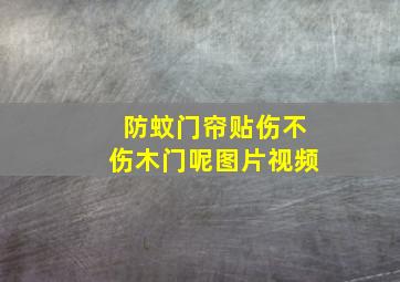 防蚊门帘贴伤不伤木门呢图片视频