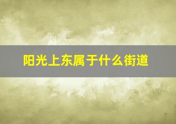 阳光上东属于什么街道