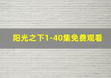 阳光之下1-40集免费观看