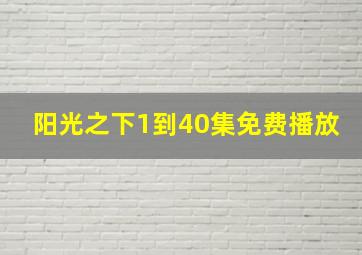 阳光之下1到40集免费播放