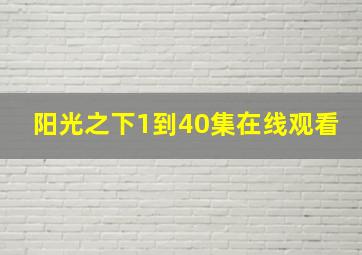 阳光之下1到40集在线观看