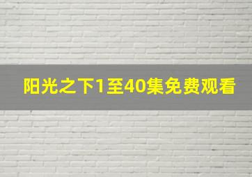 阳光之下1至40集免费观看