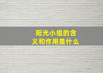 阳光小组的含义和作用是什么