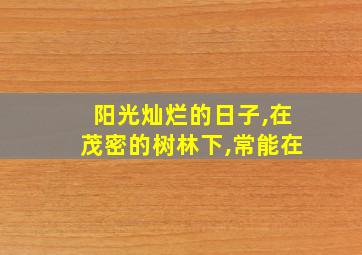 阳光灿烂的日子,在茂密的树林下,常能在